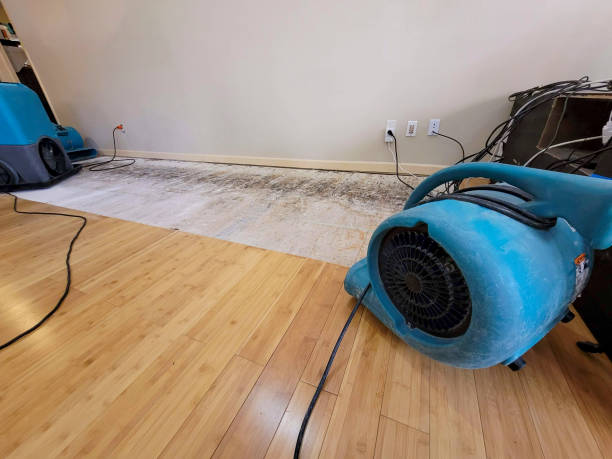 Professional Structural Drying technician working in Laton, CA